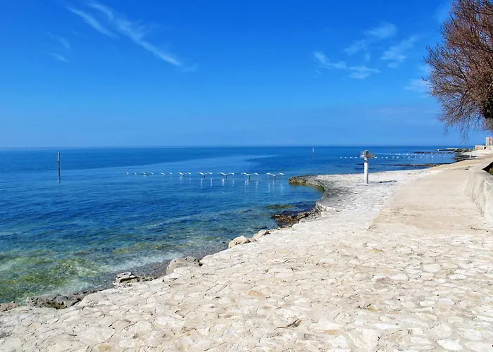شقة In Novigrad Mit Privatem Parkplatz By Interhome Novigrad Istria